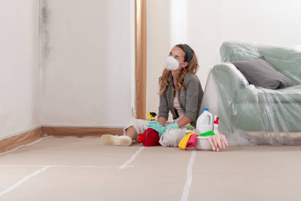 Reliable Black Mold Removal contractor in Princeton, MN by WQB Mold Removal